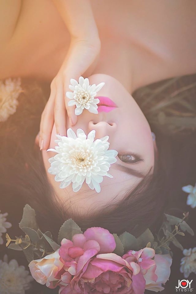 红楼春上春在线观看